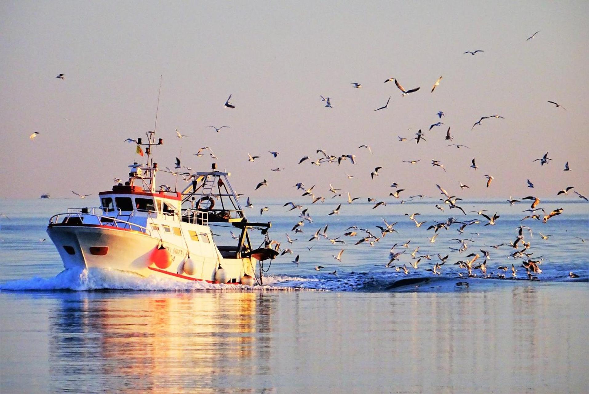 La Casa Del Pescatore N 33 - Porto Di St Spirito Bari Kültér fotó